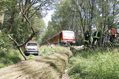 Entgleist: Rund 25 Fahrgäste kamen gestern Nachmittag mit dem Schrecken davon, als die Heidebahn 14728 bei Honerdingen auf einen umgestürzten Baum auffuhr und entgleiste.