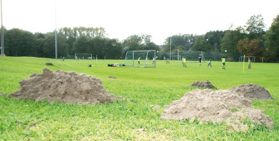 Erdhügel als Stolperfalle: Maulwürfe verwandeln seit Jahren den Trainingsplatz im Bad Fallingbosteler Heidmark-Stadion in ein gefährliches Areal.