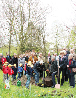 Ehrenplatz für den Baum des Ehrenvorsitzenden: Zahlreiche Gäste waren am vergangenen Freitag in den Fulde-Park gekommen, um auf Einladung  der Walsroder Bürgerliste am Tag des Baumes eine Pyramideneiche zu pflanzen.