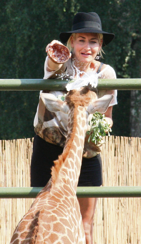 Geduld: Schließlich konnte Sarah Connor das Giraffenbaby doch noch erfolgreich taufen.