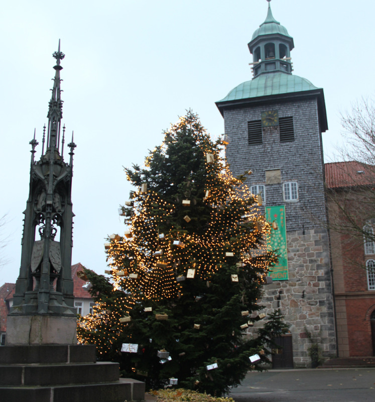 Die Adventszeit kann kommen: Am Mittwoch schmückten Mitarbeiter der Heide-Werkstätten Walsrode den Weihnachtsbaum am Kirchplatz.