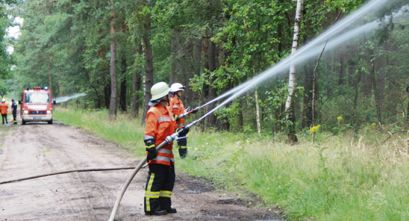„Wasser marsch!“ in der Ahrensheide: Kilometerlange Schlauchleitungen müssen die Feuerwehrkameraden durch das Waldgebiet Ahrensheide legen, damit der fiktive Großbrand mit echtem Wasser gelöscht werden kann. 