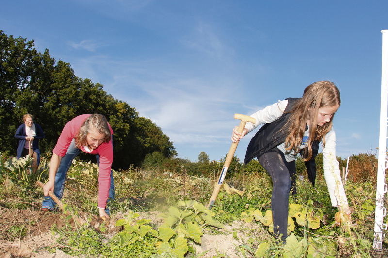Birgit Möbius und Mara Soldner (10) aus Bomlitz haben zwar Erfahrungen mit Gemüseanbau aus ihrer Arbeit im eigenen Garten. Aber auf dem fruchtbaren Acker des Oesenhof ist mehr Platz für noch mehr kulinarische Genüsse.