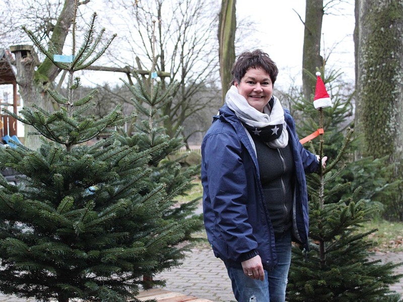 Zu Weihnachten stellt sich neben der Frage nach den Geschenken auch die Frage nach dem richtigen Baum. Diana Bostel vom Hof in Benzen verkauft die Tanne zum Fest. 