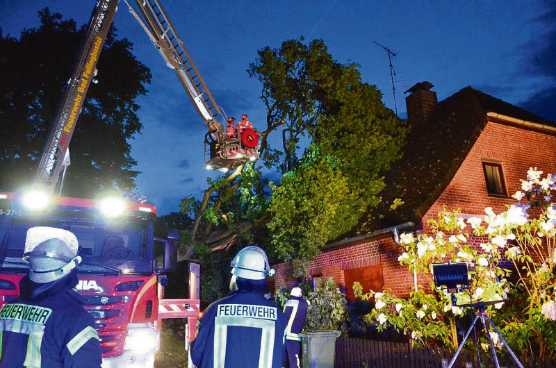Die Freiwilligen Feuerwehren im Heidekreis waren am Sonntag schwer beschäftigt - unter anderem aufgrund einer auf ein Wohnhaus in Eickeloh gestürzten Eiche.