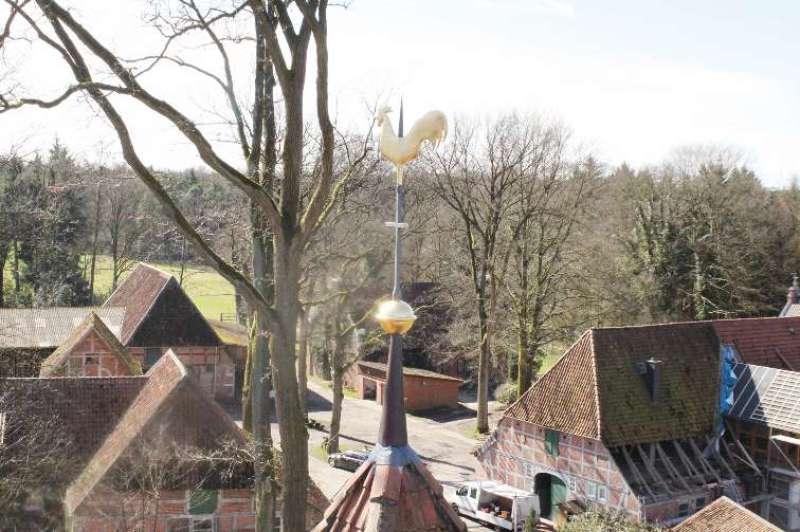 Der Wetterhahn auf der Spitze des Kirchturmes Meinerdingen wurde instand gesetzt und erstrahlt in neuem Glanz. 