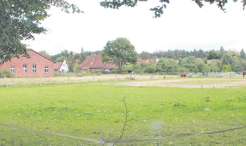 Noch Pferdeweide - bald Wohnbauland: Der Grethemer Gemeinderat hat den Bebauungsplan „Sandgarten“ beschlossen. Foto: mey