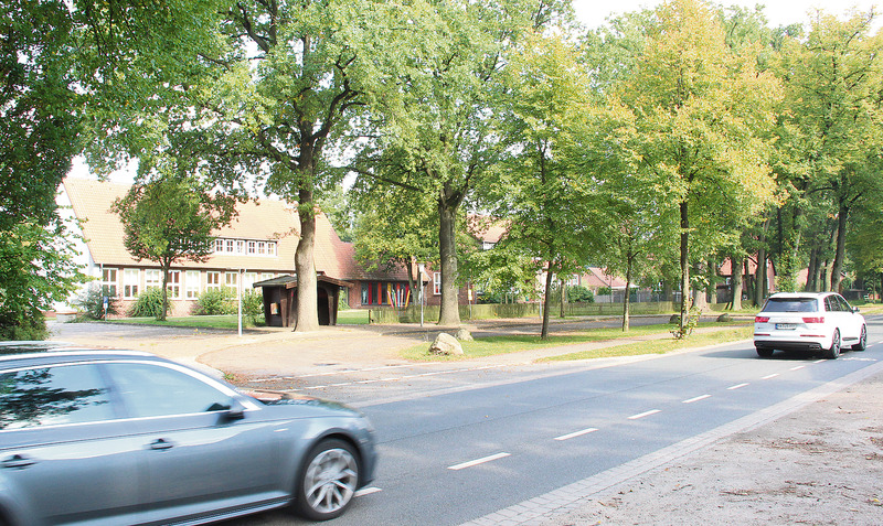 Tempo 30 an der Grundschule Düshorn: Dafür setzt sich die Stadt Walsrode weiterhin ein. Foto: mey