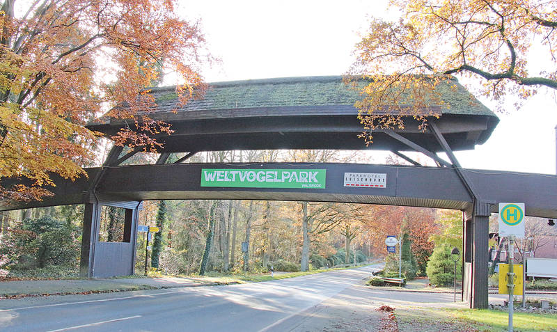 Verbindende Brücken: Der Weltvogelpark liegt derzeit sowohl auf Bomlitzer als auch auf Walsroder Gebiet. Bild: ei