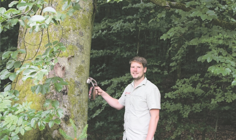 Marius Schröder beim Markieren von Habitatbäumen..Niedersächsische Landesforsten