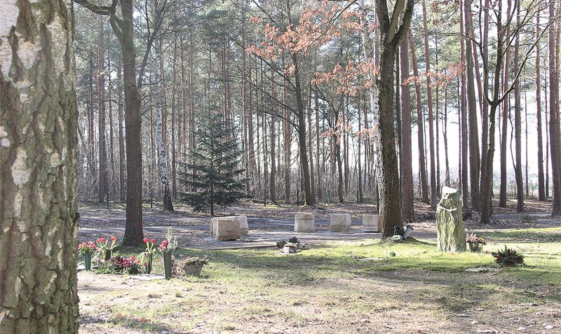 Die Sitzblöcke sind bereits vorhanden: Bald soll der Gedenkplatz auf dem Buchholzer Friedhof um eine Stele ergänzt werden.mey