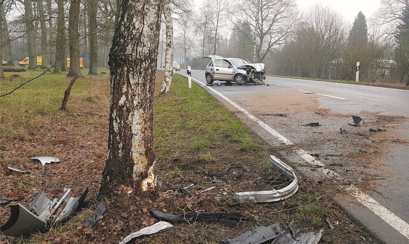 Am Baum abgeprallt, wurde das Auto wieder auf die Straße geschleudert: Die Landstraße 163 bei Jettebruch musste drei Stunden gesperrt werden.Foto: Polizei Heidekreis
