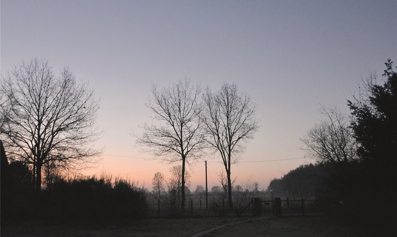 Morgens, bevor die Welt erwacht: Wenn kein Zwang besteht, kann das frühe Aufstehen auch schön sein.Foto: Anke Weber