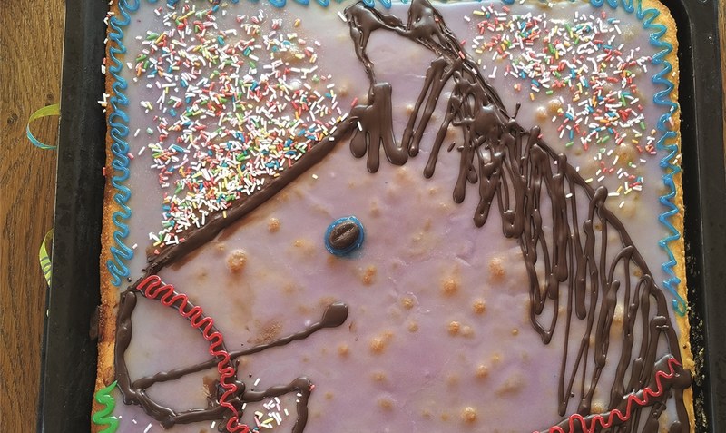 Verkannte Backkunst: Dem Geburtstagskind selbst hat der liebevoll dekorierte Kuchen gefallen - immerhin.Foto: Silvia Herrmann