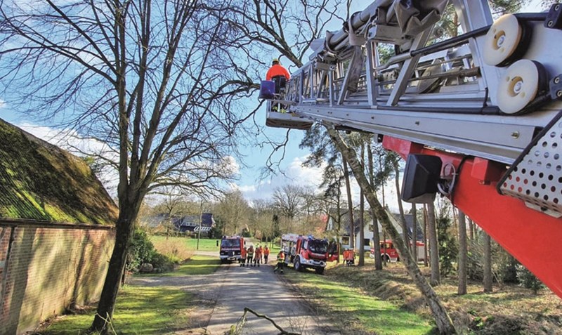 Heikler Einsatz: Bei Schneverdingen geriet ein Baum in gefährliche Schieflage. Foto: Feuerwehr