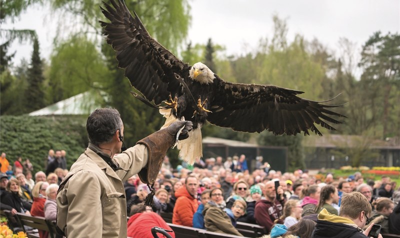 Start ohne Flugshows: Am Freitag öffnet der Weltvogelpark seine Türen. Foto: Weltvogelpark