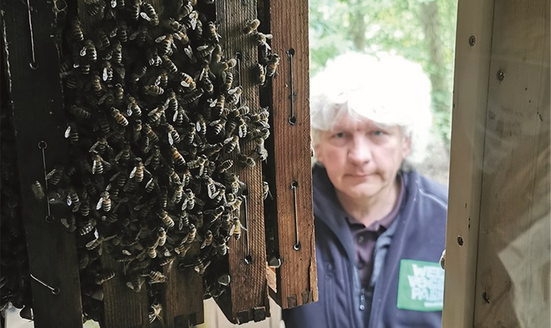 Neu: Das Bienenhaus geht auf eine Initiative des Weltvogelpark-Tierpflegers Harald Zinke zurück, der sich bereits in seiner Freizeit leidenschaftlich für Bienen eingesetzt hat und seit Jahren Hobbyimker ist.Foto: Weltvogelpark