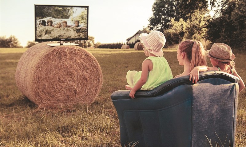 Freiluft-TV: So weit ist es glücklicherweise noch nicht, doch die kleine Fernseh-Eule der Familie würde selbst bei 40 Grad im Schatten am liebsten vor der Glotze sitzen.Foto: pixabay