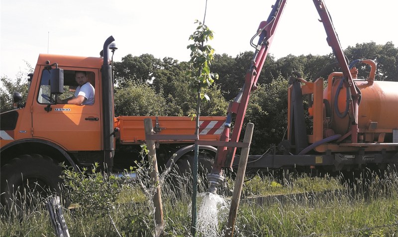 Wässern, schneiden, pflegen: Die Baumkontrolleure haben vor allem im Sommer wieder eine Menge zu tun.Foto: Samtgemeinde Schwarmstedt