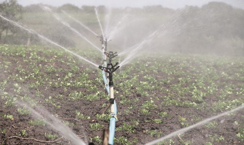 Feldberegnung in sengender Mittagshitze: Wasserversorger fordern von der Landwirtschaft mehr Verantwortung. Foto: feraugustodesign - pixabay