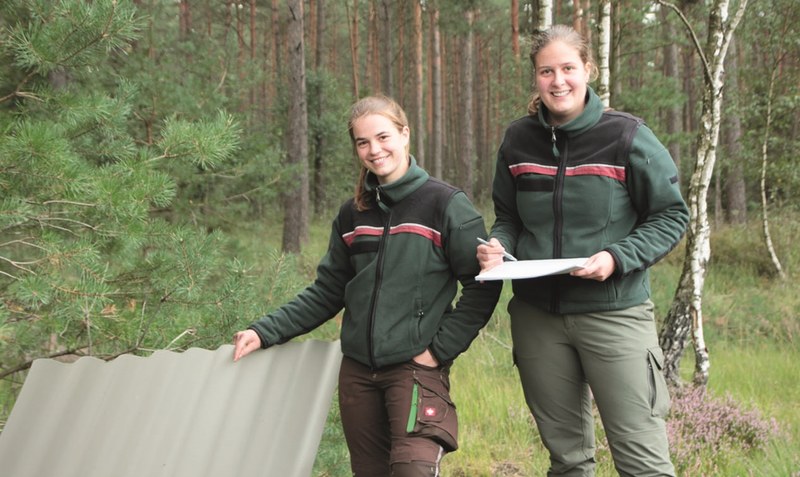 Lilly-Josefin Köpnick und Johanna Heinze (von links) kontrollieren die sogenannten Schlangenbretter zur Erfassung der Reptilienvorkommen. Foto: Forstamt Sellhorn