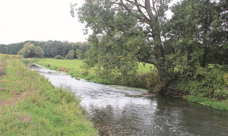 Über rund 70 Kilometer fließt die Böhme durch den Heidekreis, bis sie bei Böhme in der Aller mündet. Jetzt beschloss der Kreistag eine umfangreiche Schutzverordnung. Foto: Rolf Hillmann