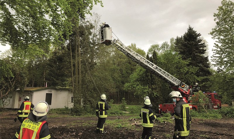 Mit vereinten Kräften: Helfer der Feuerwehr verhinderten, dass die Bäume auf ein Haus stürzten. Foto: Feuerwehr