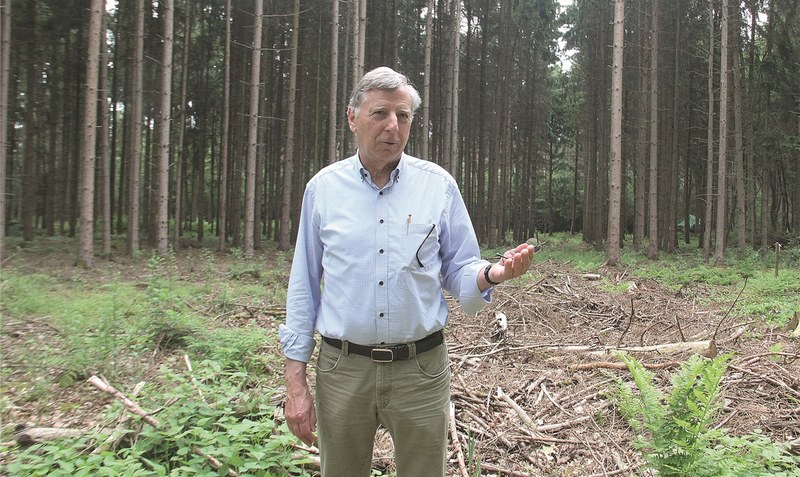 Heiner Beermann experimentiert in seinen eigenen Wäldern mit 15 Baumarten auf der Suche nach den Bäumen der Zukunft. Foto: Rolf Hillmann