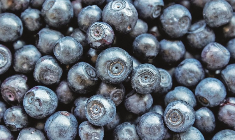 Blaubeeren: Die kleinen, süßen Früchte lassen die Herzen von Liebhabern besonders im Sommer höherschlagen - doch nicht alle sind bereit, für Regionalität und Frische auch zu bezahlen. Foto: Meadowphoto - pixabay