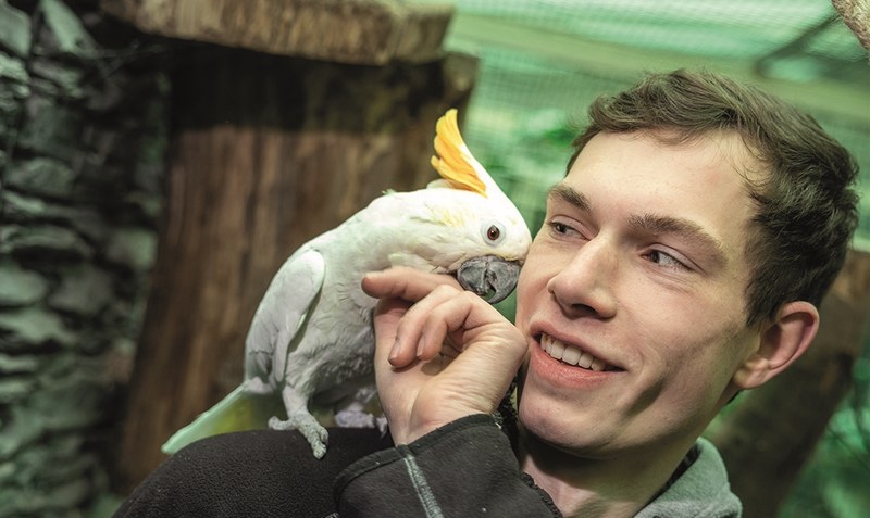 Linus Brenner hat seine Ausbildung zum Tierpfleger im Weltvogelpark Walsrode als bundesweit Bester seines Berufs abgeschlossen. Foto: IHKLW/Andreas Tamme
