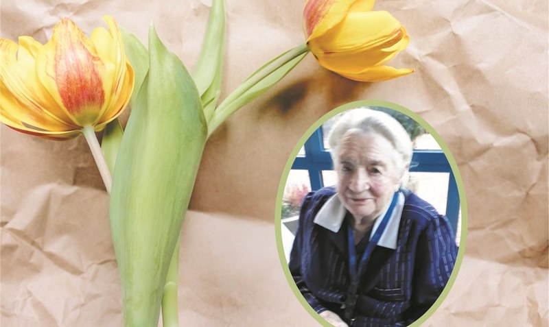 Blumen zum Geburtstag gab es für Ella Abramowski bestimmt schon unzählige Male. Schließlich ist die 105-Jährigen eine wahre Pflanzen-Liebhaberin.Collage: Privat/WZ
