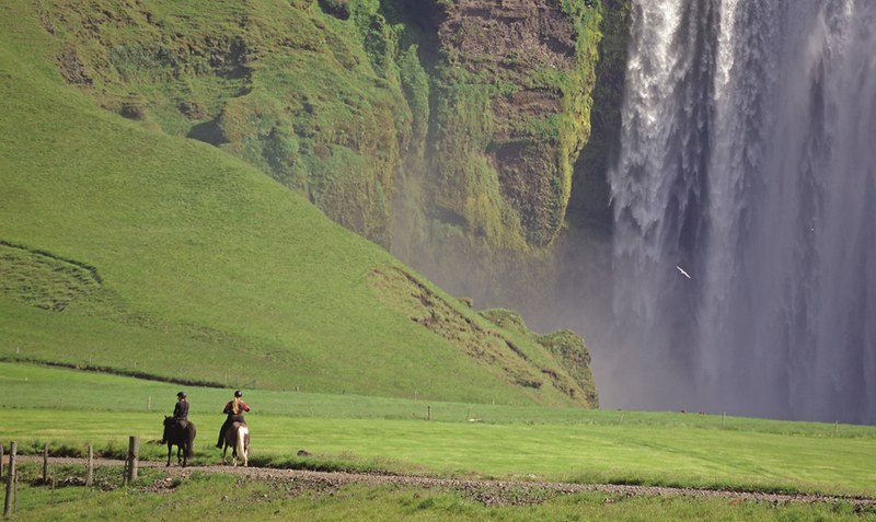 Kleines und Großes entdecken: Island ist bekannt für seine lebensfrohen Pferde und einzigartigen Landschaften. Foto: Pantke