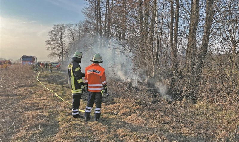 Auch bei Essel brannten rund 300 Quadratmeter Unterholz. Foto: Feuerwehr Schwarmstedt