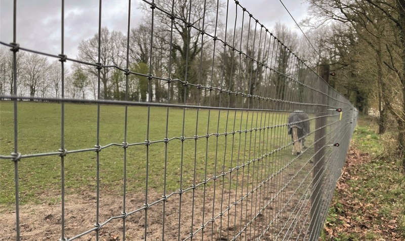 Ein wolfsabweisender Zaun in Kettenburg. Foto: FDP Heidekreis