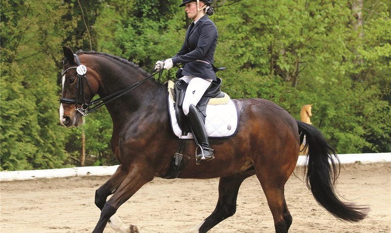 Endlich wieder im Sattel ihres geliebten Pferdes “Dorfkind”: Kira Lütjens bei der M-Dressur. Foto: Jan Becker