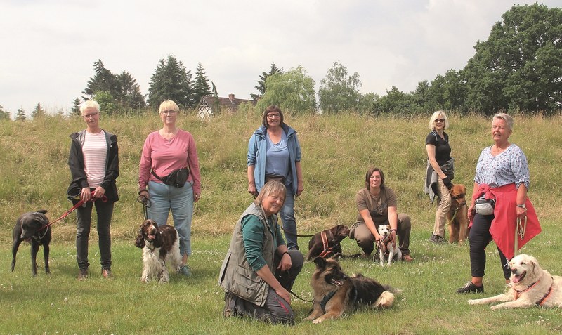 Training Am Volksloh in Hodenhagen: Dort werden die Hundeschule und Elke Bahr unterstützt. “Ich bin nicht auf die Eckernworth angewiesen, andere schon.” Foto: Hillmann