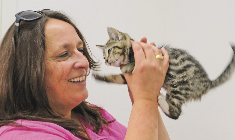 “Ich bin eine Katzenfrau”: Birgit Heidt-Bierer, die neue Vorsitzende des Tierschutzvereins Heidekreis Süd. Foto: Tierschutzverein Heidekreis Süd