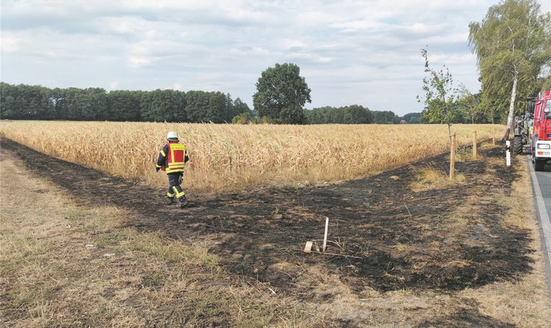 Rascher Einsatz: Ein Übergreifen auf angrenzende Ackerflächen kann durch die Feuerwehr verhindert werden. Foto: Feuerwehr