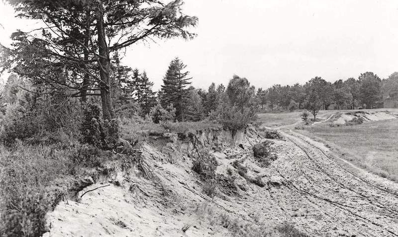 Wenig einladend? Ein Heideweg auf einer Fotografie aus dem Jahr 1903. Fotos: Brandes