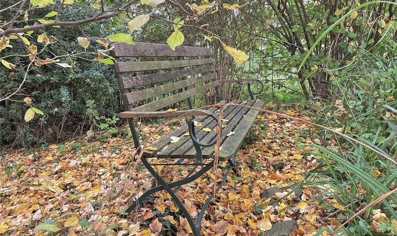 Romantisch nicht nur im Herbst: Die Gartenbank. Foto: Weber