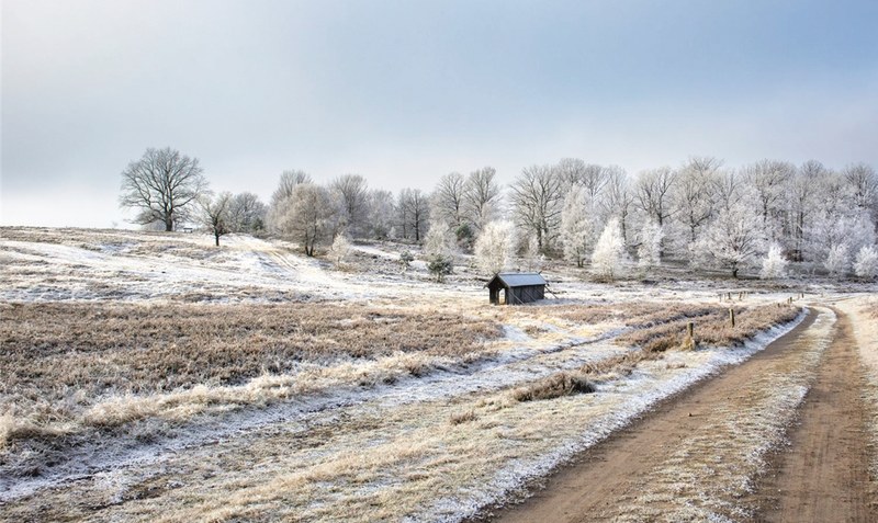 Weseler Heide bei Undeloh: Die idyllische Landschaft präsentiert sich im Winter beinahe schon märchenhaft. Fotos: Landkreis Harburg