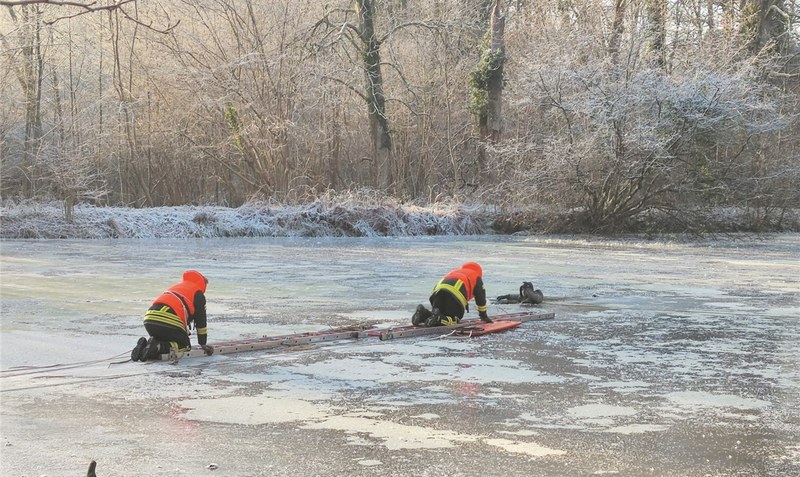 Jeder Handgriff muss sitzen: Mit Leitern bewegen sich die Einsatzkräfte auf dem Eis voran. Foto: Feuerwehr