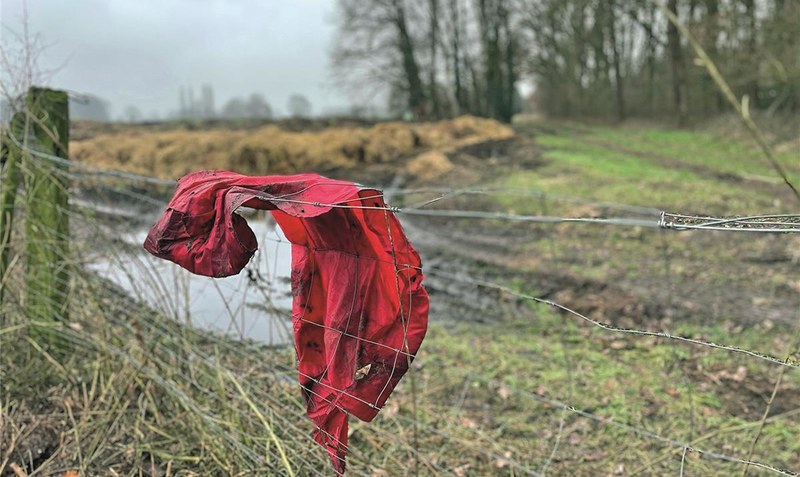 Ein Farbtupfer im tristen Februar: Das rote Fundstück aus dem Misthaufen. Foto: Anke Weber